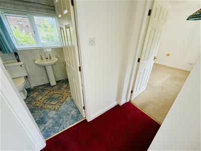 Picture 9
